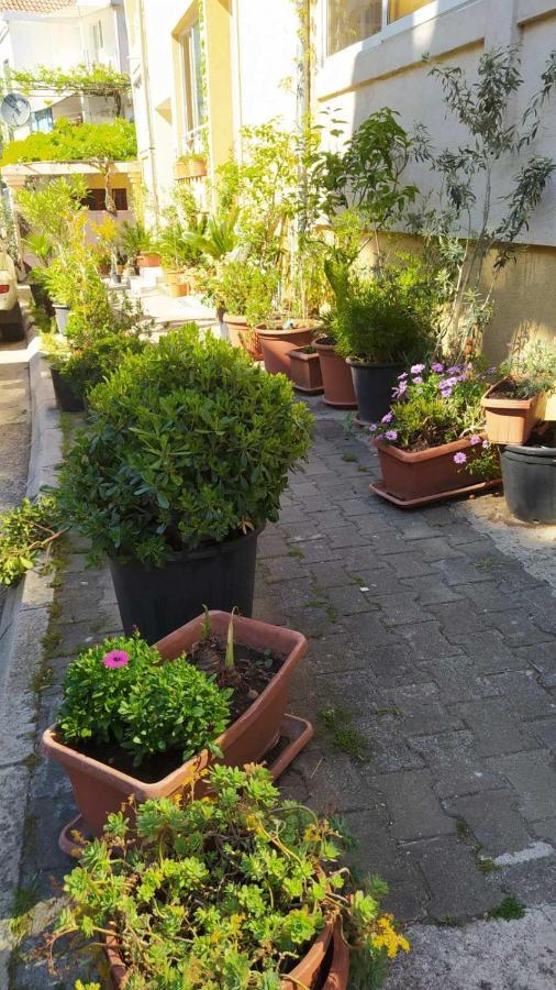 Senka Appartement Budva Buitenkant foto